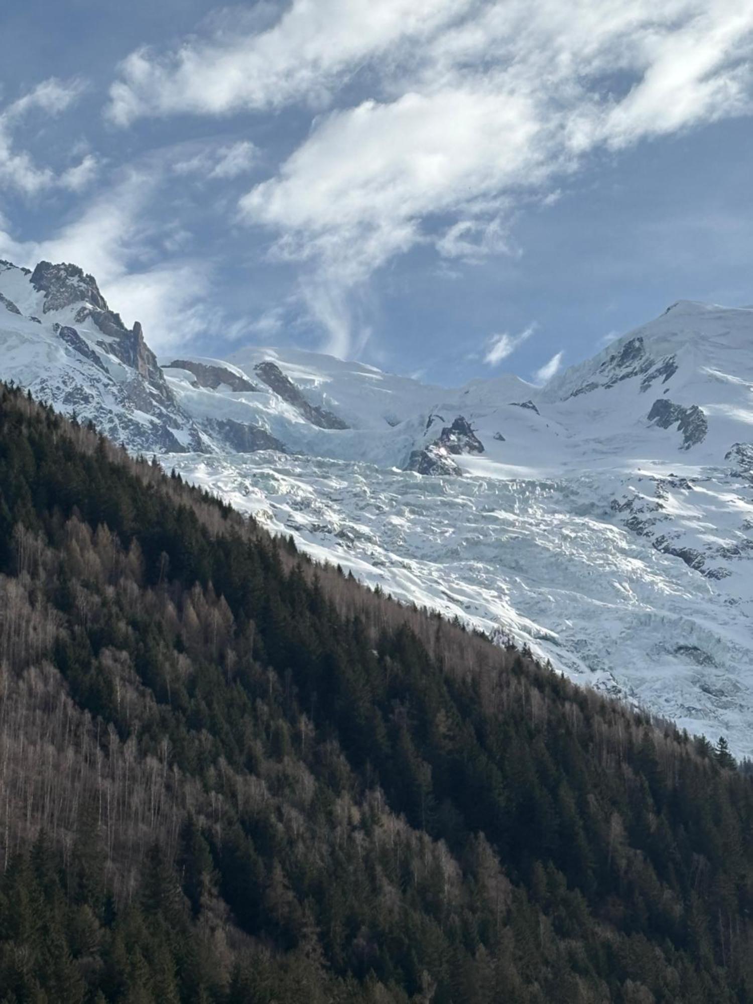 Chamois Blanc /